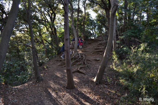 The hiking trail